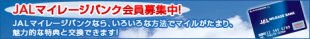 JAL日本航空 JMB入会