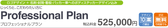Professional Plan　税込525,000円